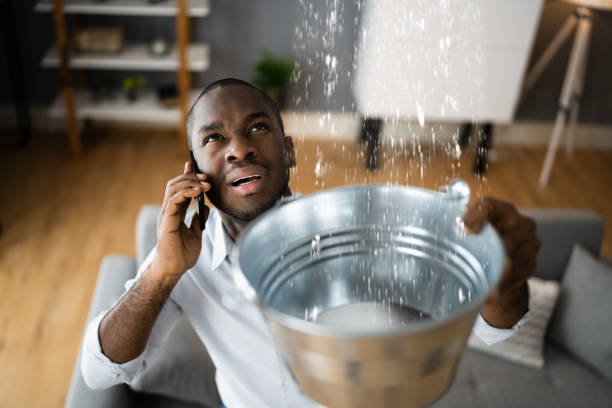 Best Water damage restoration specialists  in Vinco, PA