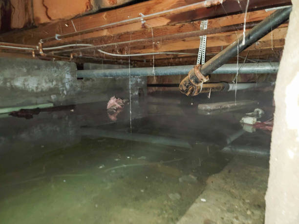 Best Water damage restoration insurance claims  in Vinco, PA