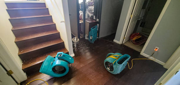  Vinco, PA Water damage restoration Pros