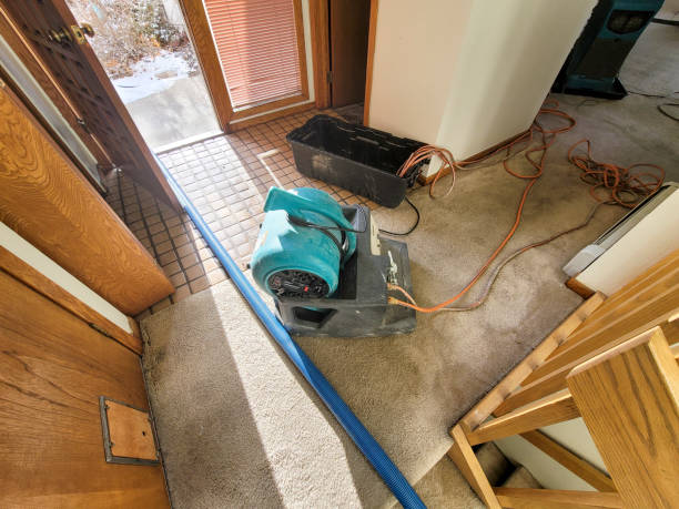 Best 24/7 water damage repair  in Vinco, PA