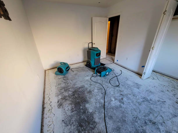 Best Flood restoration services  in Vinco, PA