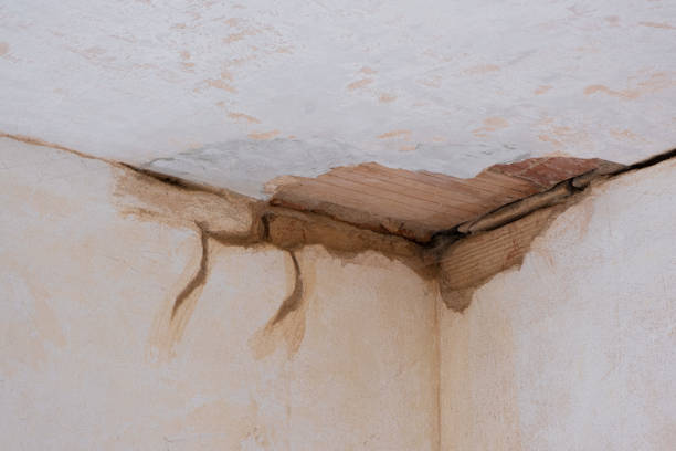 Best Professional water damage repair  in Vinco, PA