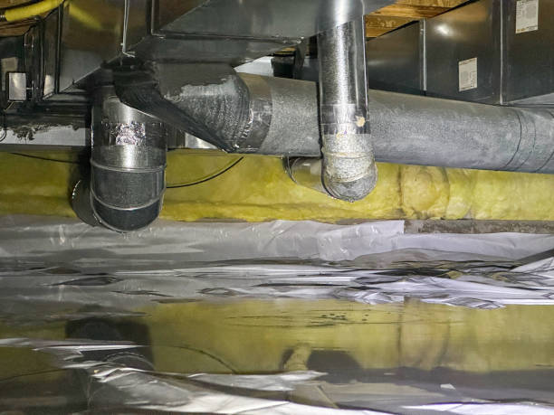 Best Sewage cleanup and water damage restoration  in Vinco, PA