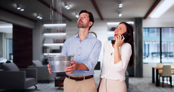 Best Water damage restoration specialists  in Vinco, PA