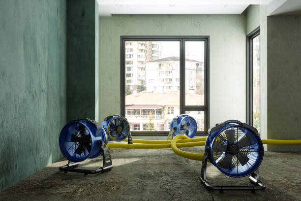 Best Water damage mitigation services  in Vinco, PA