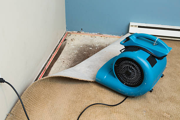 Best Water damage cleanup near me  in Vinco, PA